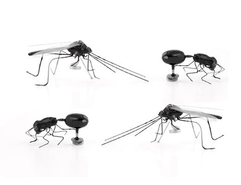 Kikkerland Insect Magnets, Set of 4